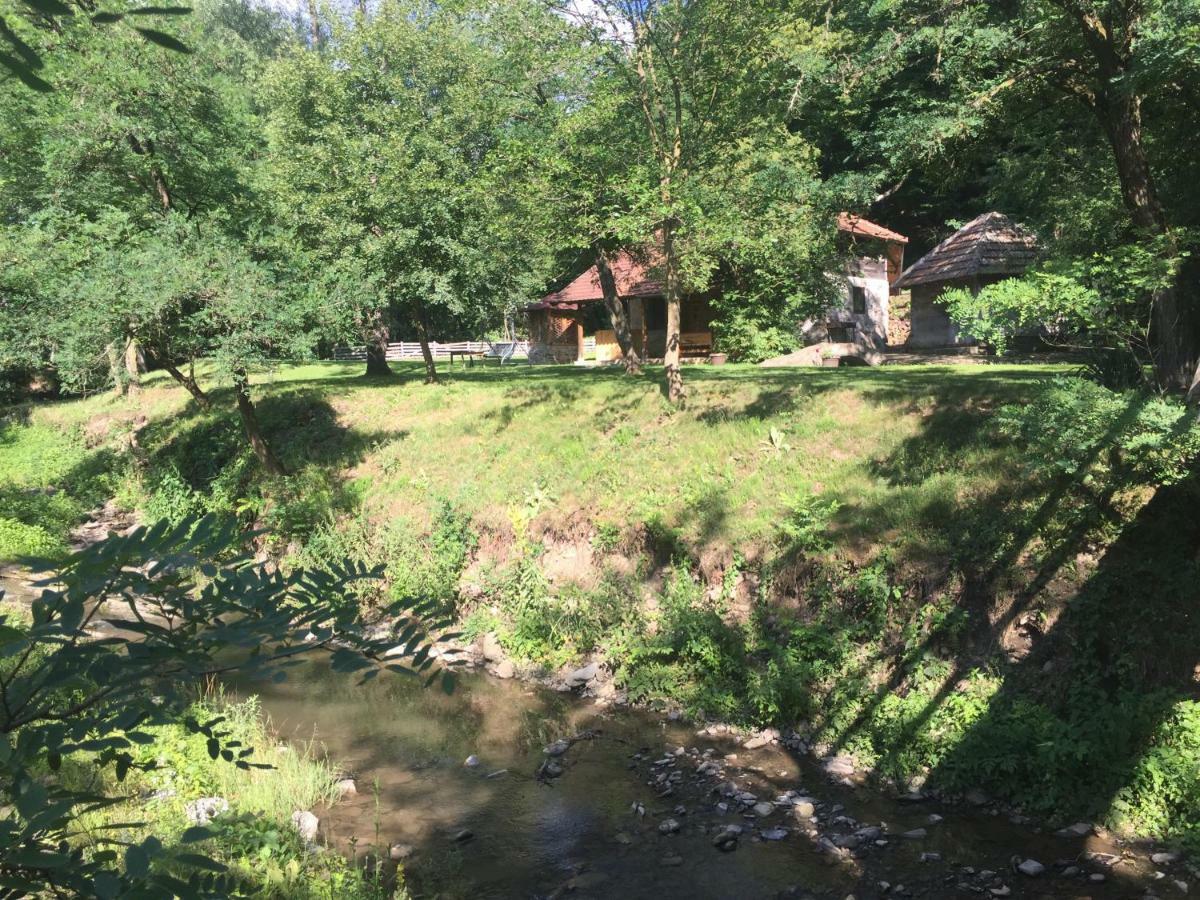 Kuca Za Odmor Todorovica Mlin Villa Gornji Milanovac Eksteriør bilde